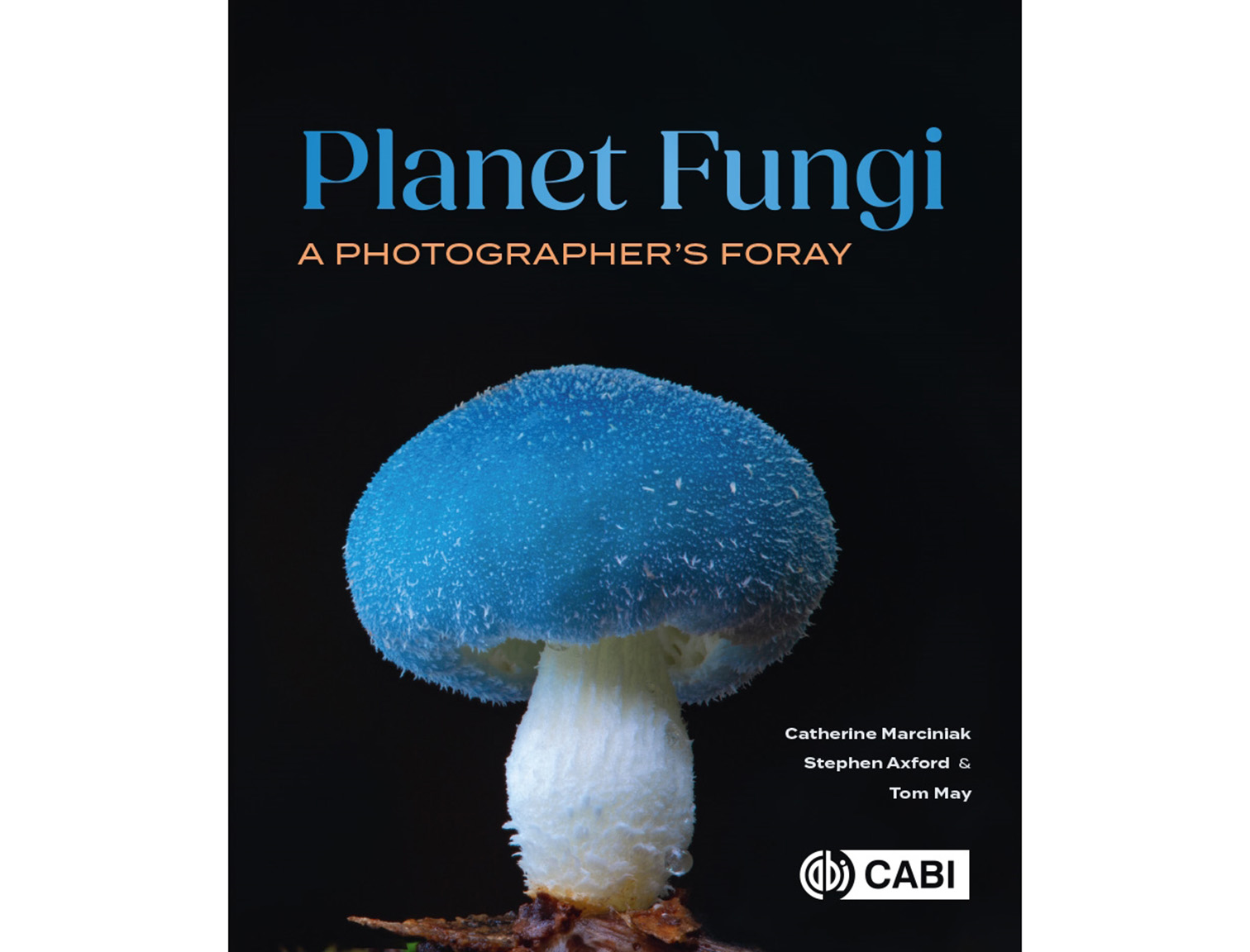 Fungi planet 9781836991335_